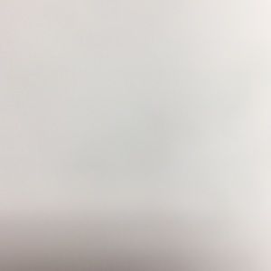 Meet your Posher, Skye